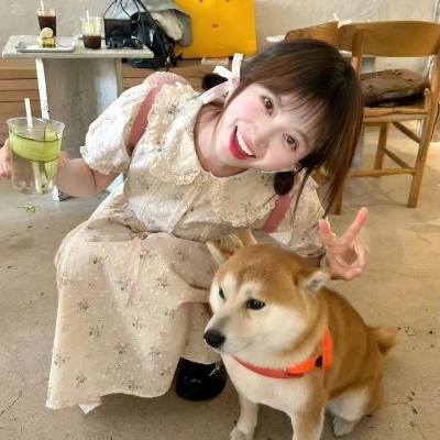 副总统第七季